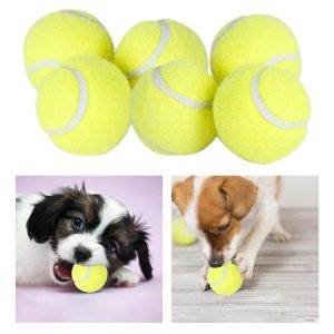 Durable, Chew-Resistant, Bouncy Dog Toy Ball