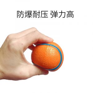 Indestructible, Squeaky, High-Bounce Dog Ball