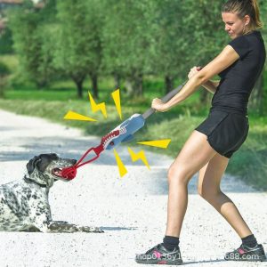Squeaky Interactive Tug-of-War Pet Toy
