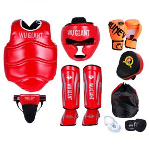 Taekwondo Body Protector & Boxing Gear