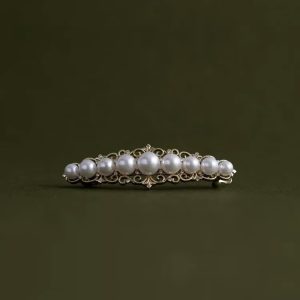 Elegant French White Moonlight Spring Hair Claw