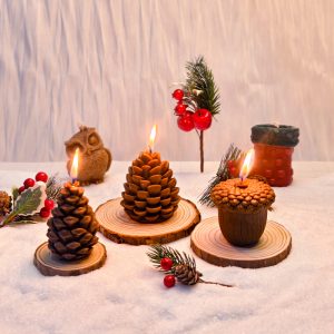 Acorn Pine Scented Candle Christmas Gift