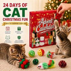 Cat Advent Calendar 2026, 24 Days Assorted Interactive Cat Toy Countdown Gift Set for Indoor Cats & Kittens