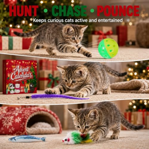 Cat Advent Calendar 2026, 24 Days Assorted Interactive Cat Toy Countdown Gift Set for Indoor Cats & Kittens - Image 5