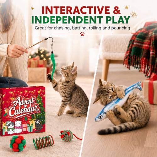 Cat Advent Calendar 2026, 24 Days Assorted Interactive Cat Toy Countdown Gift Set for Indoor Cats & Kittens - Image 6