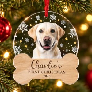 Personalized Pet Photo First Christmas Acrylic Ornament 2026, Custom 2D Puppy & Cat 1st Xmas Keepsake, Fur Baby Christmas Tree Decor for Pet Owners